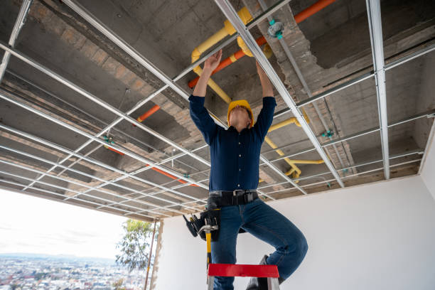 Best Plumbing Inspection Services  in Hamilton, GA
