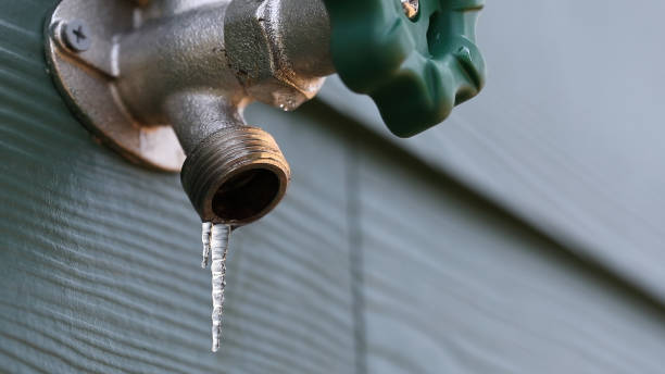Best Sewer Line Repair  in Hamilton, GA